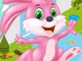Bunny Run