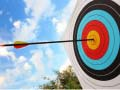 Archery: Bow & Arrow