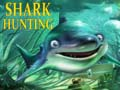 Shark Hunting