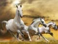 Running Horse Slide