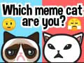 Which Meme Cat Are You?