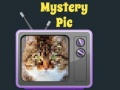 Mystery Pic