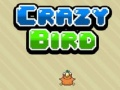 Crazy Bird