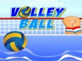 Volley ball