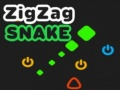 ZigZag Snake