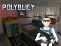 Polyblicy