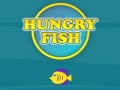 Hungry Fish