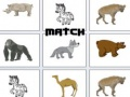 Match