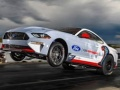 Ford Mustang Cobra Jet Slide