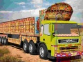 Truck Driver Cargo