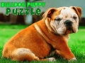 Bulldog Puppy Puzzle
