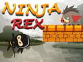 Ninja Rex