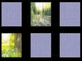 Nature Memory