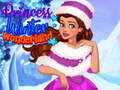 Princess Winter Wonderland