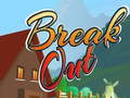 Break Out
