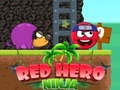 Red hero ninja