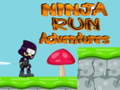 Ninja Run Adventures