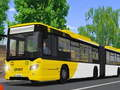Public Transport Simulator 2021