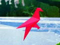 Bird Shooting