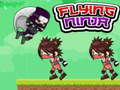 Flying Ninja