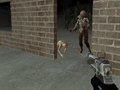 Zombie Apocalypse Now Survival