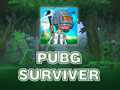 PUBG Surviver