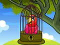 Red Parrot Rescue