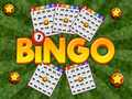 Bingo Revealed