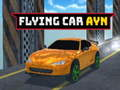 Flying Car Ayn
