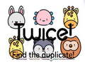 Twice! Find the duplicate