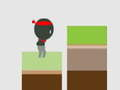 Ninja the Jump