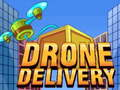 Drone Delivery