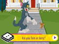 Are You Tom or Jerry?