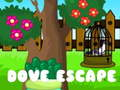 Dove Escape