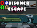 Prisoner Escape