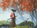 Samurai Reflexion