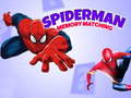 Spiderman Memory Matching