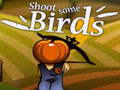 Shoot Some Birds
