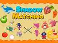 Shadow Matching
