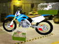 Motorcycle Pet Delivery