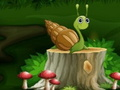 Snail 