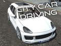 City Car Driving 
