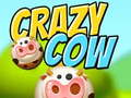 Crazy Cow