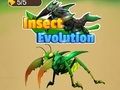 Insect Evolution