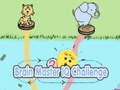 Brain Master IQ Challenge