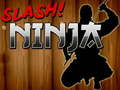 Slash Ninja