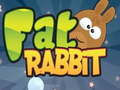 Fat Rabbit