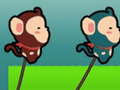 Monkey Swing