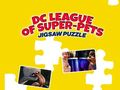 DC League of Super Pets Jigsaw Puzzle