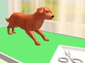 Pet Care